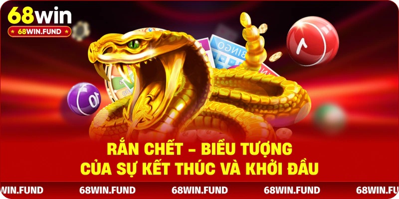 Rắn chết - Biểu tượng của sự kết thúc và khởi đầu 